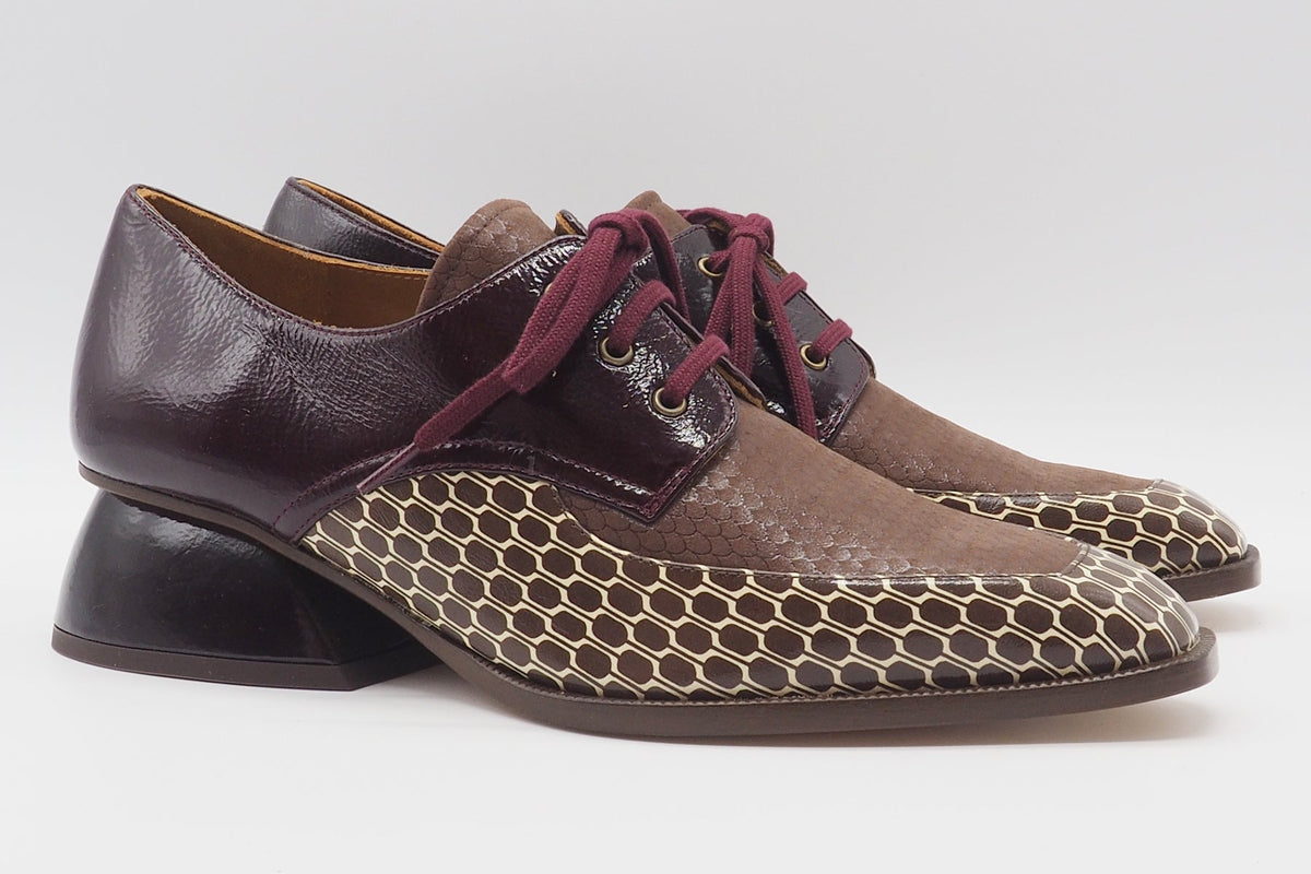 Damen Schnürhalbschuh in Brauntönen - Grafisch bedruckt in Leder - Caligo Damen Loafers & Schnürer Chie Mihara