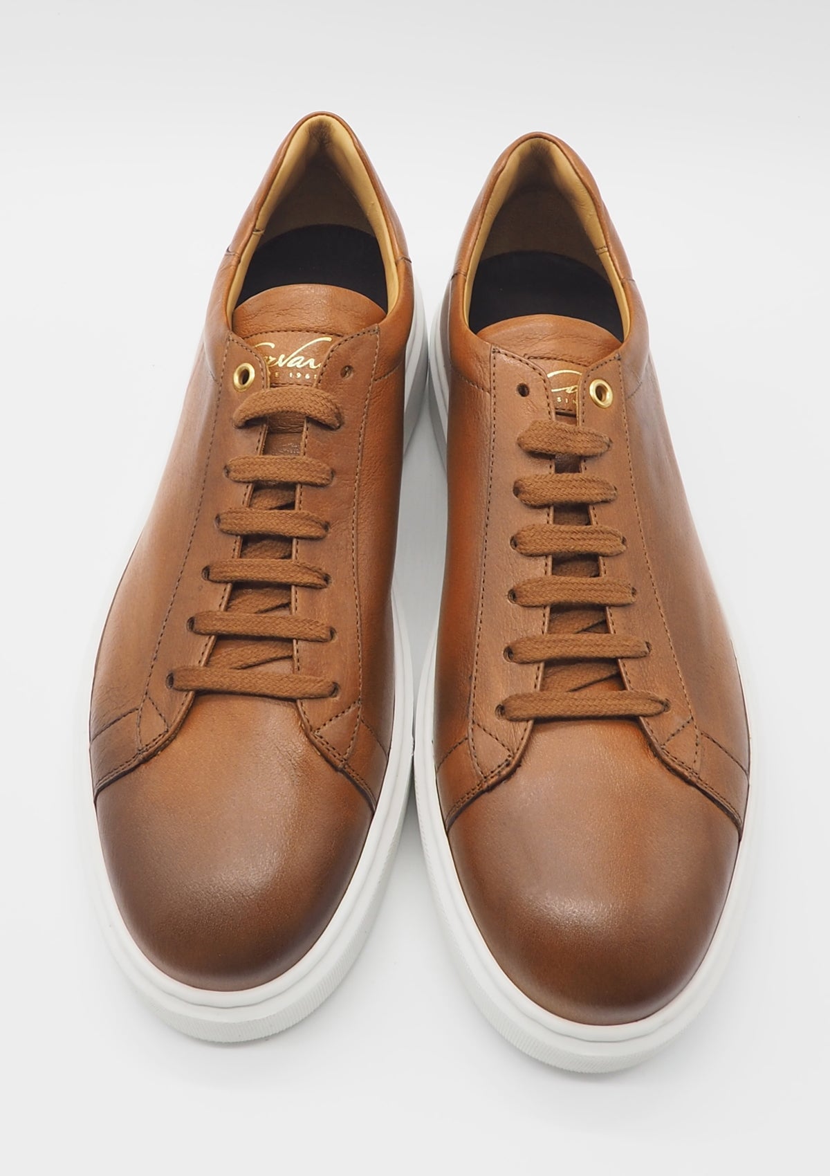 Herren Sneaker aus Glattleder in Cognac & weisser Sohle Herren Sneaker Corvari