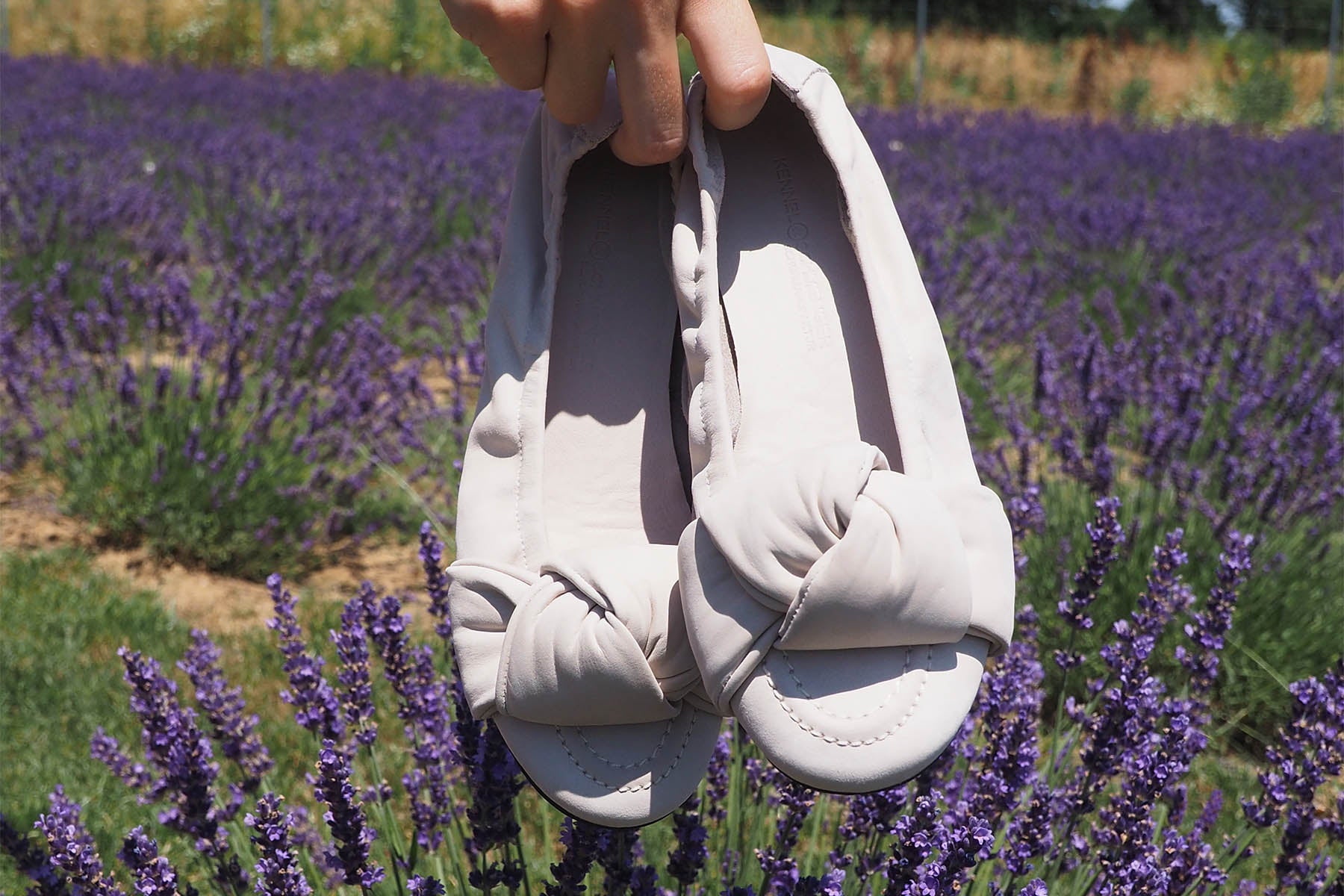 Damen Ballerina aus Nubukleder in Creme Damen Ballerinas Kennel & Schmenger
