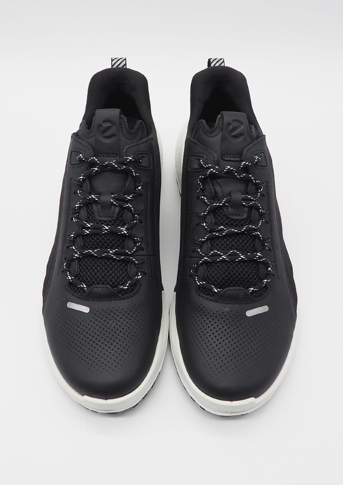 Herren Sneaker aus Leder in Schwarz - Biom 2.0 Herren Sneaker Ecco